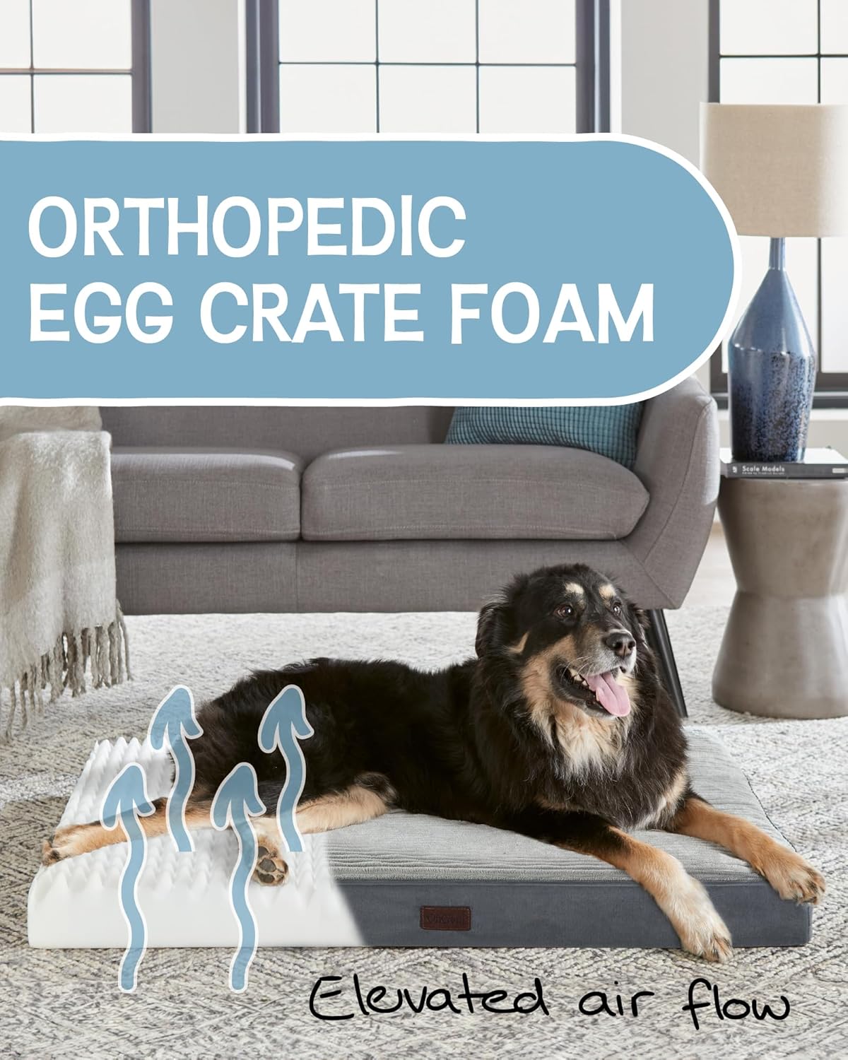 Washable Dog Bed with Foam Support