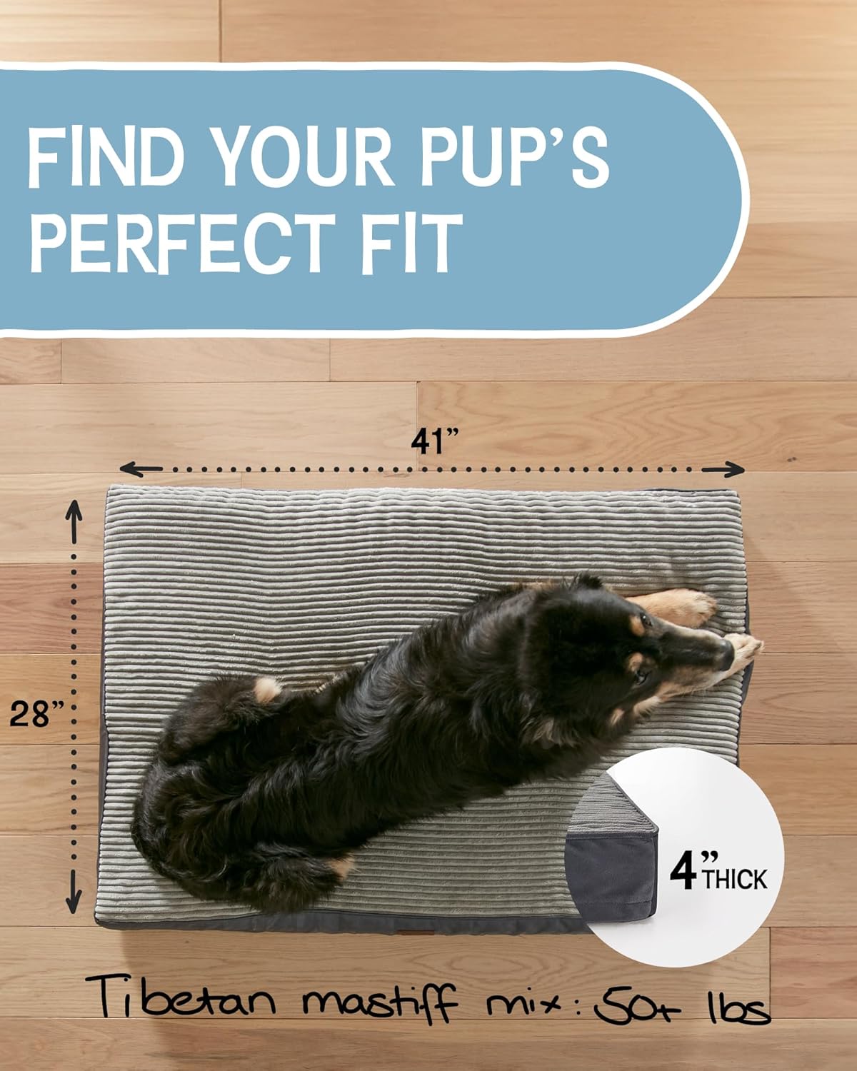 Washable Dog Bed with Foam Support