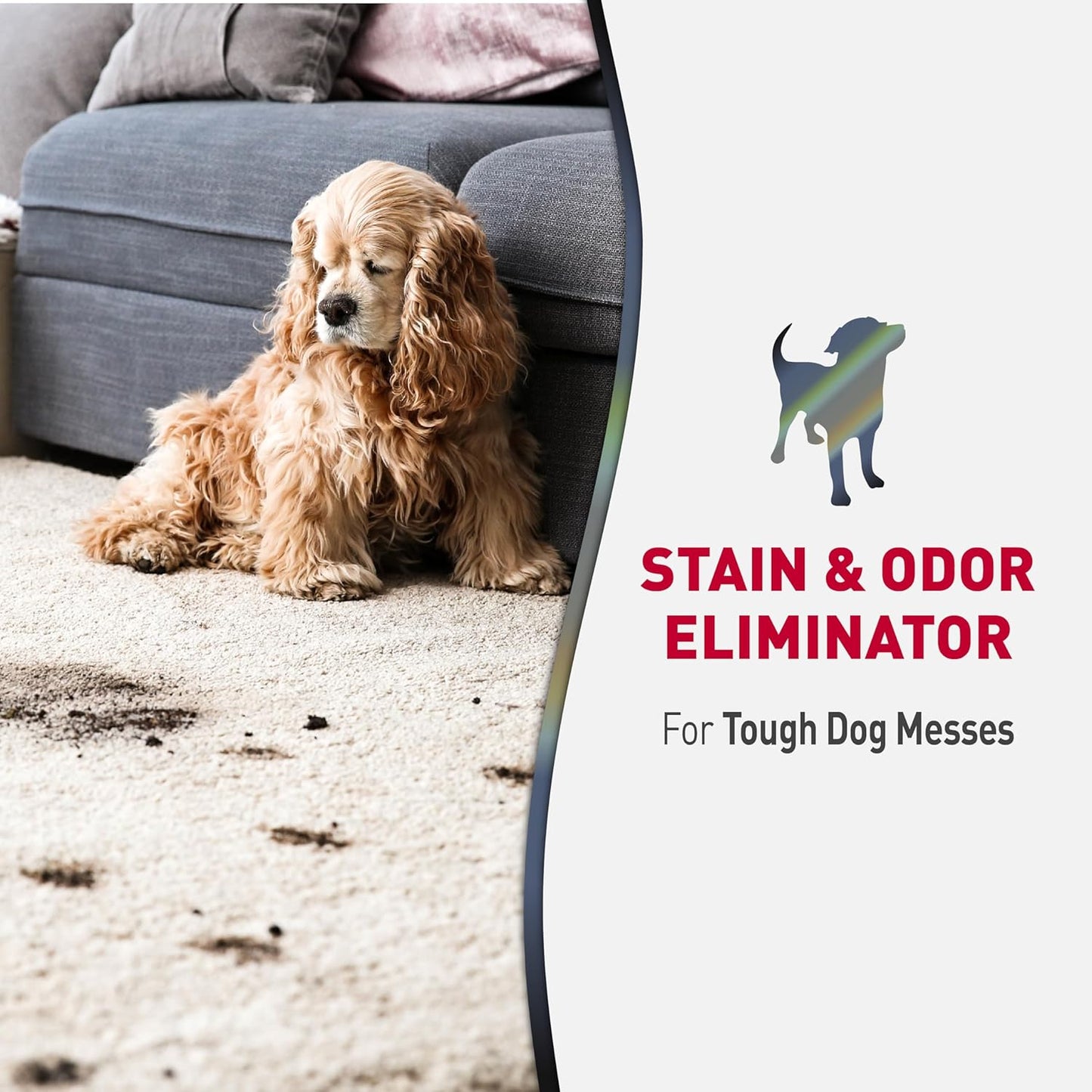 Advanced Stain and Odor Eliminator for Dog Messes